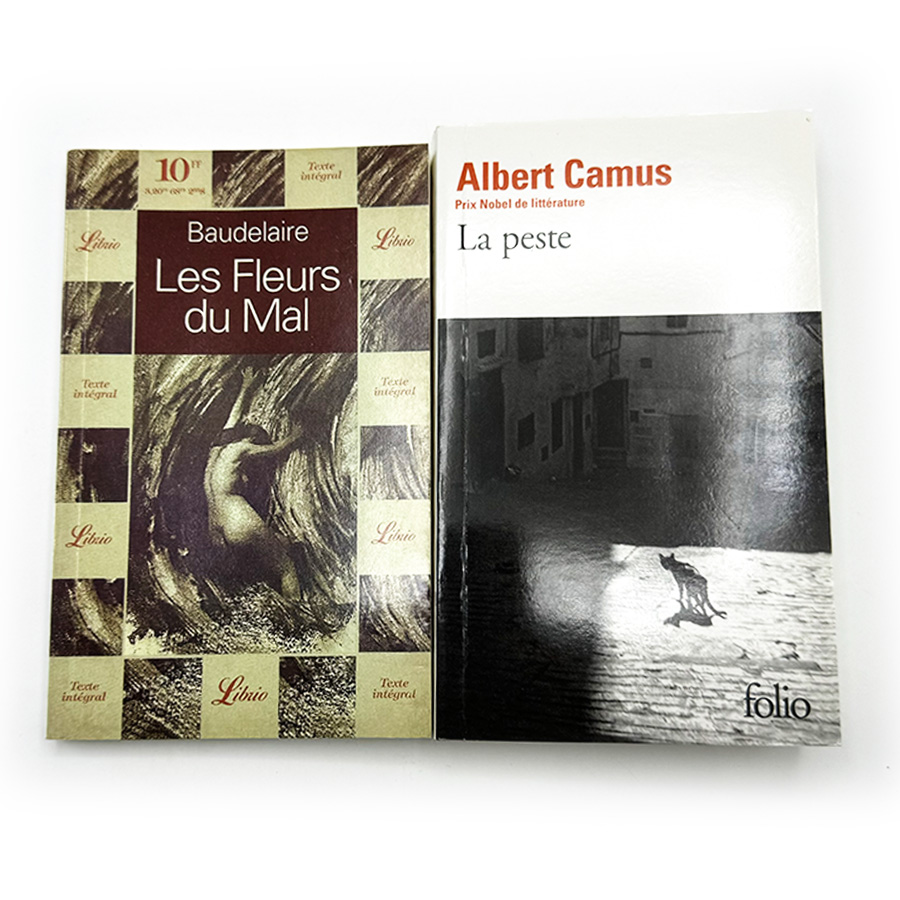 Cheap Softcover Africa Novel Book Printin